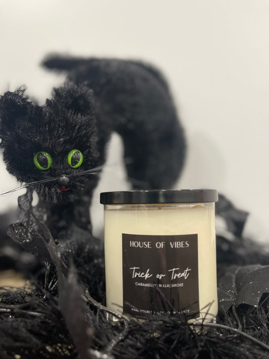 Trick or Treat 9oz Candle