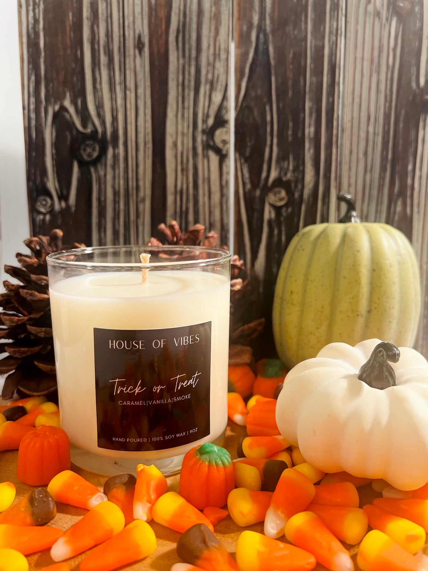 Trick or Treat 9oz Candle